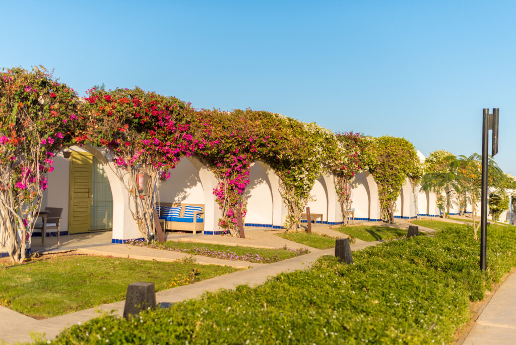 Barbados Airport To Bougainvillea Hotel