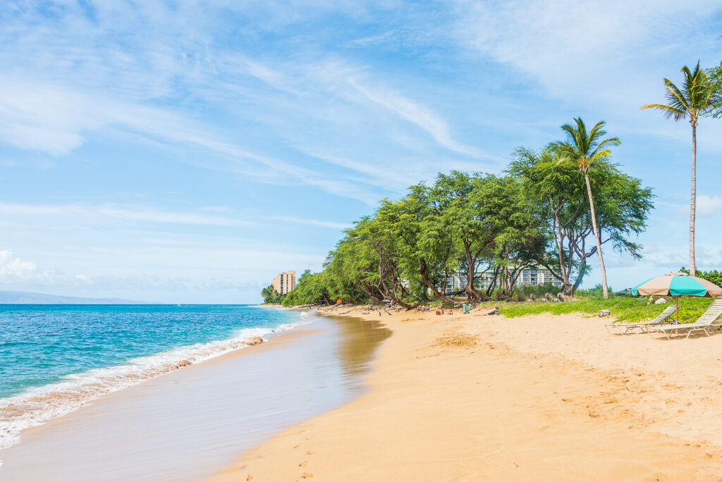 Dover Beach Barbados